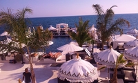 Puro Beach - Beachclub - <a href='/Downloads/87/Puro-Beach-Beachclub.html'>Bild herunterladen</a>